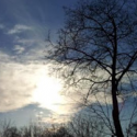 Your Camera+ : Must Have App for Smartphone
