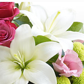 Interflora.co.uk : Gift Flowers to Your Friends via Interflora