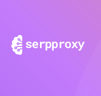 Enable Fast SERP Scraping With the Google Search API – Serpproxy