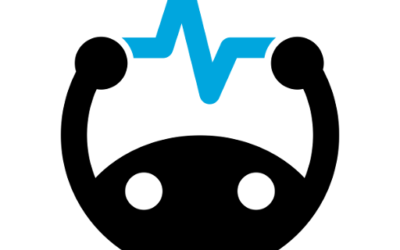 Key Features of BrainScape That Make Everyone Learn French