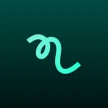 Naptick logo